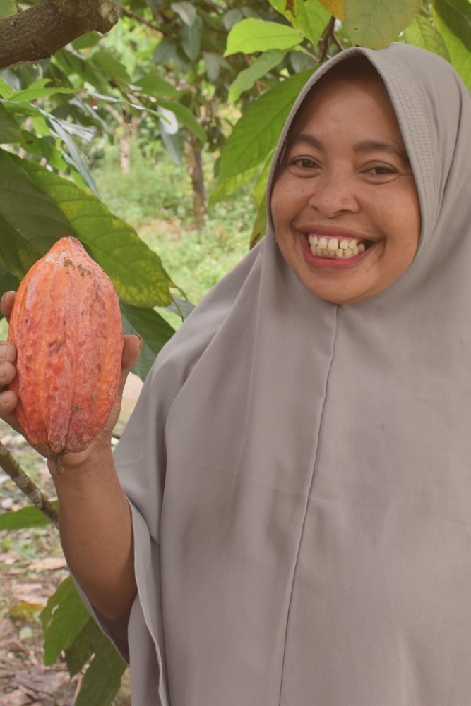 Program Peningkatan Ekonomi Keluarga