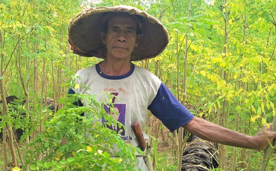 Tetap Berkebun Demi Warisan Bagi Anak Cucu